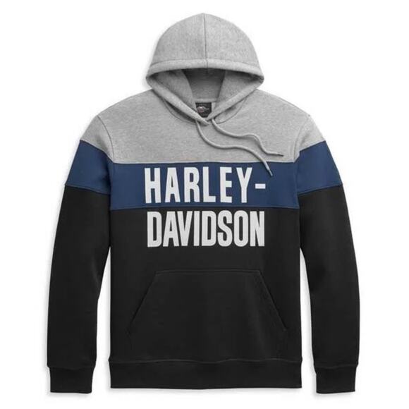 Harley-Davidson Men's Block Letter Colorblocked Pullover Hoodie Mens Medium - Picture 1 of 5